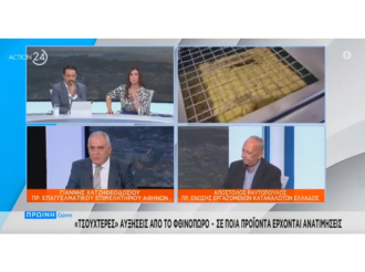 Γ. Χατζηθεοδοσίου στο Action24 για ακρίβεια: Μόνη λύση η μείωση του ΦΠΑ σε βασικά αγαθά και του ΕΦΚ στα καύσιμα
